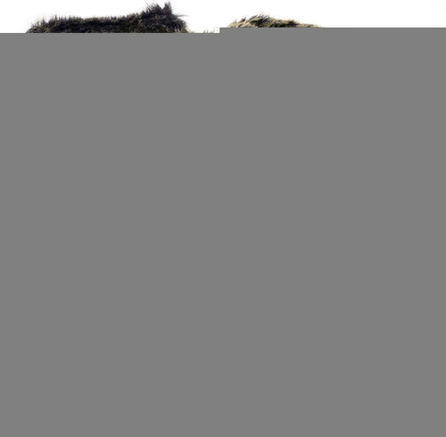 Gloves---Guanti-Donna-Testa-di-Moro-in-vero-montone-Shearling