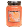 Candele profumate Village Candle profumatore per ambienti, Giara in vetro 730 gr, 26 once