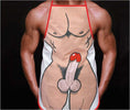 Grembiule Uomo Nudo Dream Man Festa Di Addio Al Nubilato uomo nudo scherzo divertente Salute e cura della persona/Erotismo e contraccezione/Sex toys/Gadget per addio al nubilato e al celibato Kondorama - Martinsicuro, Commerciovirtuoso.it