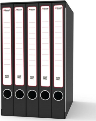 Gruppo registratori Sestetto - con 6 cartelle ad anelli - 25 5x34 5 cm - dorso 23 cm - grigio - Rexel Cancelleria e prodotti per ufficio/Archivio ufficio e accessori per scrivania/Raccoglitori e accessori per raccoglitori/Raccoglitori/Raccoglitori ad anelli Eurocartuccia - Pavullo, Commerciovirtuoso.it