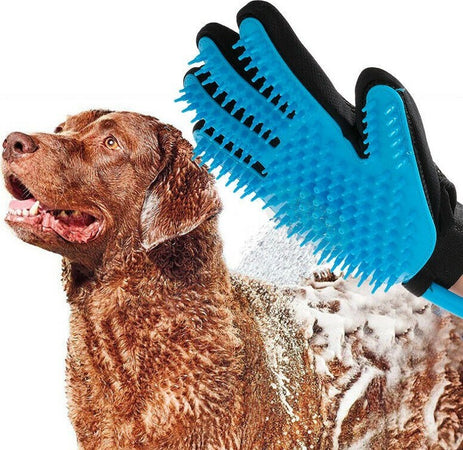 Guanto Massaggiante Doccia Cl-018 Per Animali Tubo Integrato Aggancio Universale Prodotti per animali domestici/Cani/Accessori per toilette/Spazzole Trade Shop italia - Napoli, Commerciovirtuoso.it