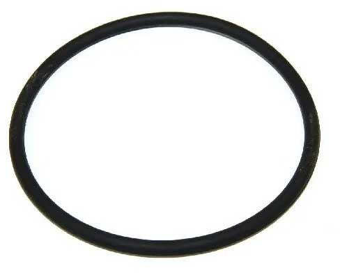 Guarnizione Ignis Anello Lavastoviglie Lavastoviglie 481253058141