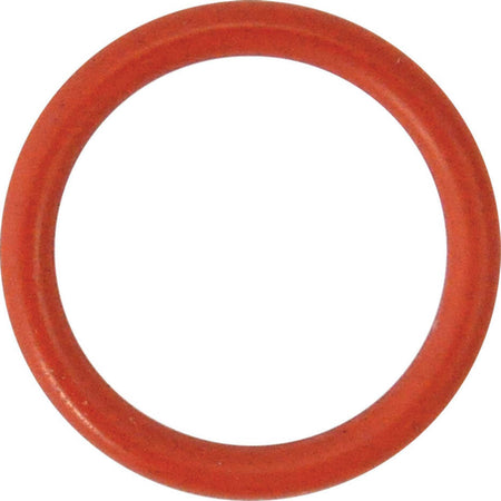 GUARNIZIONE-O-RING-PER-PERNO-per-N-3---mm-18,72-x-2,62-Reber