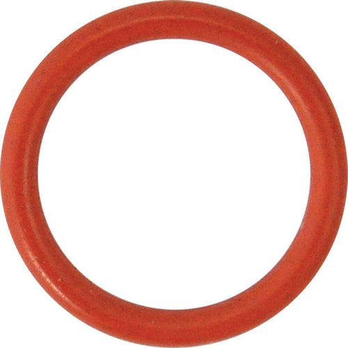 GUARNIZIONE-O-RING-PER-PERNO-per-N-5---mm-29,82-x-2,62-Reber