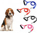 Guinzaglio-A-Corda-Cani-Taglia-Piccola-E-Media-114-Cm-Con-Moschettone