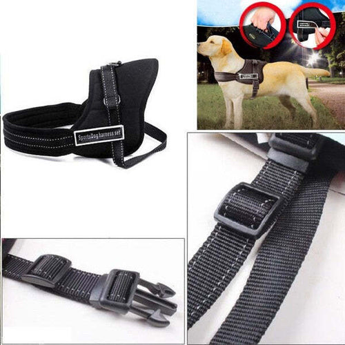 Guinzaglio-Addestra-Cani-Imbracatura-Collare-Cane-Sports-Dog-Harness-Set