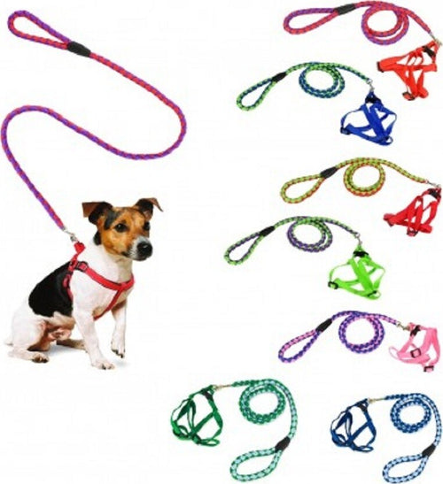 Guinzaglio Corto 120 Cm Bicolore Pettorina Per Cani Di Piccola Taglia Prodotti per animali > Prodotti per Cani > Guinzagli Trade Shop italia - Napoli, Commerciovirtuoso.it