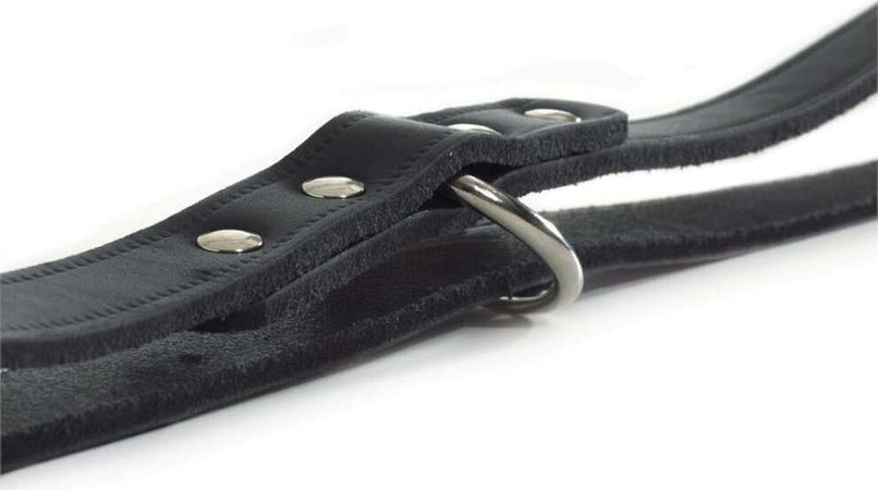 Guinzaglio per addestramento cani in cuoio e moschettone in acciaio Prodotti per animali domestici/Cani/Accessori educativi e per addestramento/Guinzagli da addestramento La Zappa - Altamura, Commerciovirtuoso.it
