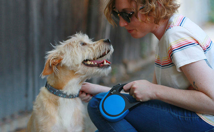 Guinzaglio per cane allungabile per cani di piccola e media taglia 5 mt Prodotti per animali domestici/Cani/Collari imbracature e guinzagli/Guinzagli/Guinzagli retrattili La Zappa - Altamura, Commerciovirtuoso.it