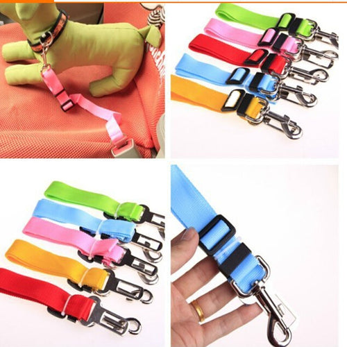 GUINZAGLIO SEDILE AUTO CINTURA DI SICUREZZA COLLARE PER CANE NYLON REGOLABILE Prodotti per animali domestici/Cani/Collari imbracature e guinzagli/Imbracature/Cablaggi Trade Shop italia - Napoli, Commerciovirtuoso.it