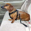 GUINZAGLIO SEDILE AUTO CINTURA DI SICUREZZA COLLARE PER CANE NYLON REGOLABILE Prodotti per animali domestici/Cani/Collari imbracature e guinzagli/Imbracature/Cablaggi Trade Shop italia - Napoli, Commerciovirtuoso.it
