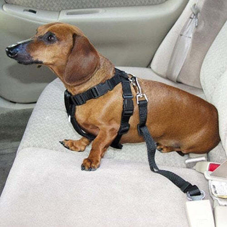 GUINZAGLIO SEDILE AUTO CINTURA DI SICUREZZA COLLARE PER CANE NYLON REGOLABILE Prodotti per animali domestici/Cani/Collari imbracature e guinzagli/Imbracature/Cablaggi Trade Shop italia - Napoli, Commerciovirtuoso.it