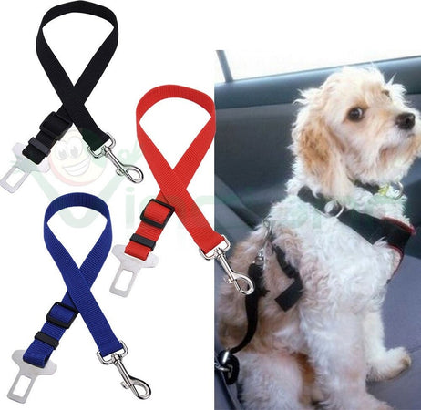 GUINZAGLIO SEDILE AUTO CINTURA DI SICUREZZA COLLARE PER CANE NYLON REGOLABILE Prodotti per animali domestici/Cani/Collari imbracature e guinzagli/Imbracature/Cablaggi Trade Shop italia - Napoli, Commerciovirtuoso.it