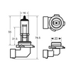 Coppia Lampade 2 H12 9055 PZ20d 53W 12V Alta Luminosità Luci Ricambio XENON Bianco 5000K Jeep Grand Cherokee