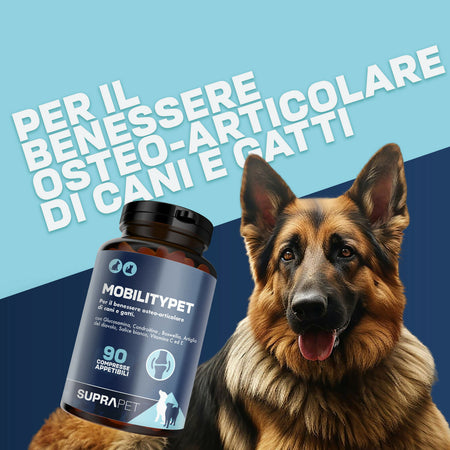 Suprapet mobilitypet cani e gatti - supporto per ossa e cartilagini 90 compresse - con boswelia glucosammina, condroitina, msm, artiglio, vitamina c (90 unità (confezione da 1))
