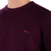 Harmont-&-Blaine-Maglie-Viola-da-uomo