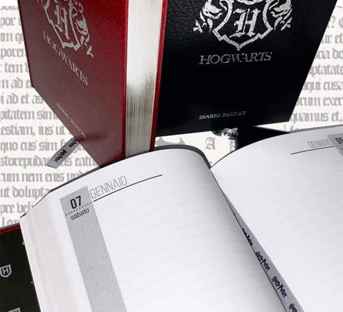 Harry Potter Hogwarts Limited Edition Diario Scolastico Agenda 2022/2023 13x18 Cm Diario per La Scuola Gut