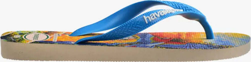 Havaianas | Bei Ciabatte Da Mare Fantasia Moda/Donna/Scarpe/Sandali e ciabatte/Infradito e ciabatte da spiaggia You Store - Messina, Commerciovirtuoso.it