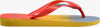 Havaianas | Top Fashion Infradito Ciabatte Mare Moda/Donna/Scarpe/Sandali e ciabatte/Infradito e ciabatte da spiaggia You Store - Messina, Commerciovirtuoso.it