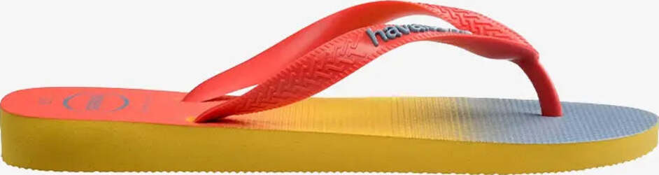 Havaianas | Top Fashion Infradito Ciabatte Mare Moda/Donna/Scarpe/Sandali e ciabatte/Infradito e ciabatte da spiaggia You Store - Messina, Commerciovirtuoso.it
