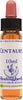 Healing-Herbs-Centaury-10-ml-Fiore-di-Bach