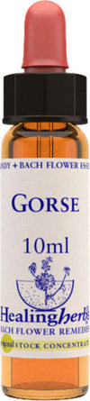 Healing-Herbs-Gorse-10-ml-Fiore-di-Bach
