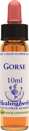Healing-Herbs-Gorse-10-ml-Fiore-di-Bach