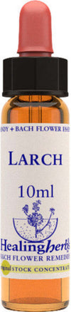 Healing-Herbs-Larch-10-ml-Fiore-di-Bach