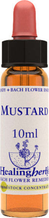 Healing-Herbs-Mustard-10-ml-Fiore-di-Bach