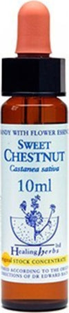 Healing-Herbs-Sweet-Chestnut-10-ml-Fiore-di-Bach