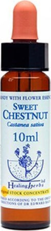 Healing-Herbs-Sweet-Chestnut-10-ml-Fiore-di-Bach