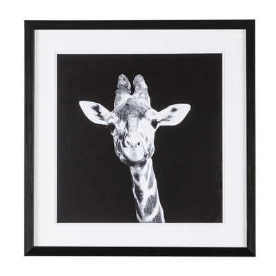 Quadro evidence 49 x 49, struttura in mdf, stampa su carta con vetro