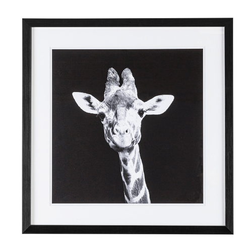 Quadro evidence 49 x 49, struttura in mdf, stampa su carta con vetro
