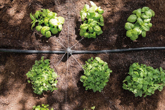 HOZELOCK---10-GOCCIOLATORI-UNIVERSALI