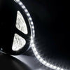 BOBINA LED 3528 BIANCO FREDDO 12V
