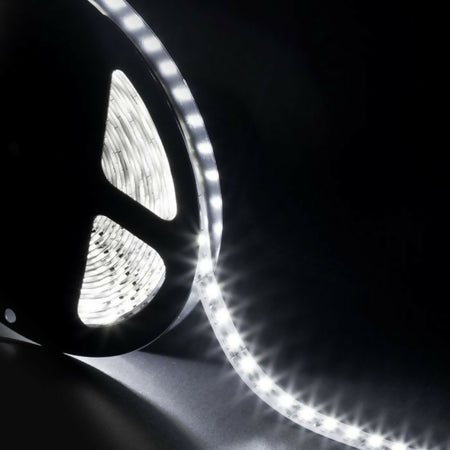BOBINA LED 3528 BIANCO FREDDO 12V