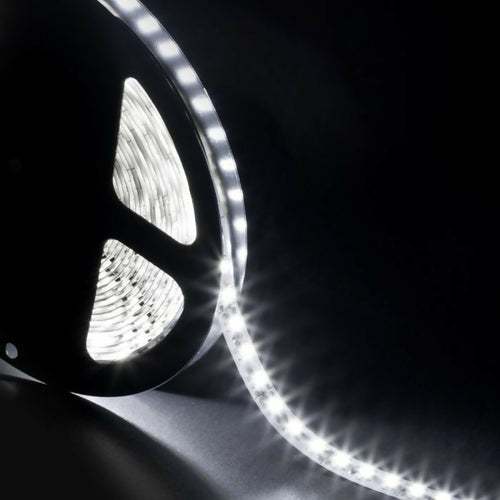 BOBINA LED 3528 BIANCO FREDDO 12V