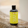 Shampoo Professionale Idratante Nutriente Capelli Secchi e Danneggiati 250 ml