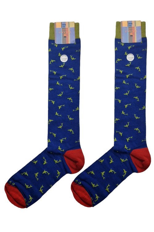 Calze Lunghe Uomo - Gallo - Fantasia delfini - blu/verde/rosso