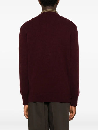 AMARANTO maglione amaranto da uomo