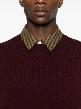 AMARANTO maglione amaranto da uomo