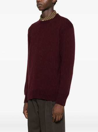 AMARANTO maglione amaranto da uomo
