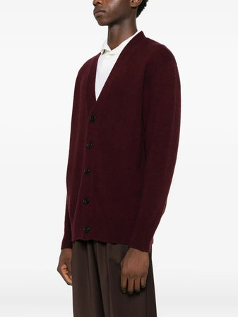 AMARANTO cardigan amaranto da uomo