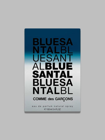 COMME DES GARÇONS PARFUMS blue santal edp 100ml spray da uomo