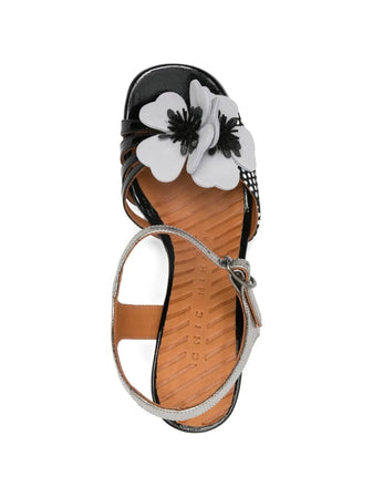 CHIE MIHARA <h4> Sandali sucre</h4> da donna