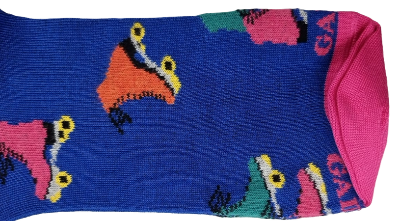 Calze Lunghe Uomo Gallo - Fantasia Pattini a rotelle - Blu cobalto/fucsia