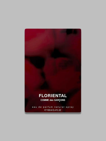 COMME DES GARÇONS PARFUMS florential edp 100ml da uomo