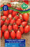 Pomodoro Lucciola F1