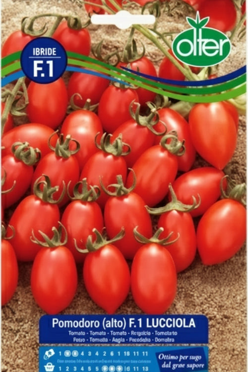 Pomodoro alto F.1 Lucciola Ibrido Semi Olter