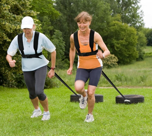 Imbracatura Da Slitta Per Esercizio Fisico Fitness Trazione Pesi Allenamento Sport e Tempo Libero > Attrezzi e Abbigliamento Sportivo > Attrezzi per Esercizi Trade Shop italia - Napoli, Commerciovirtuoso.it